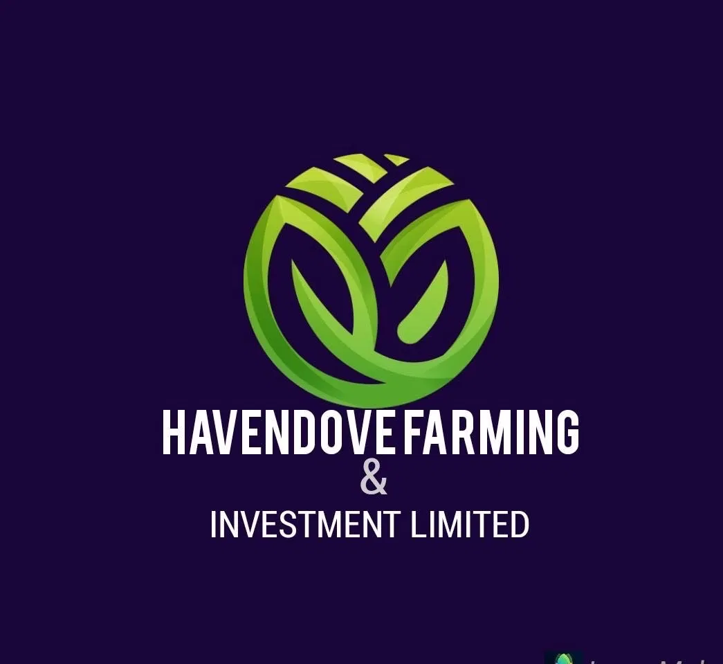 Havendove Logo